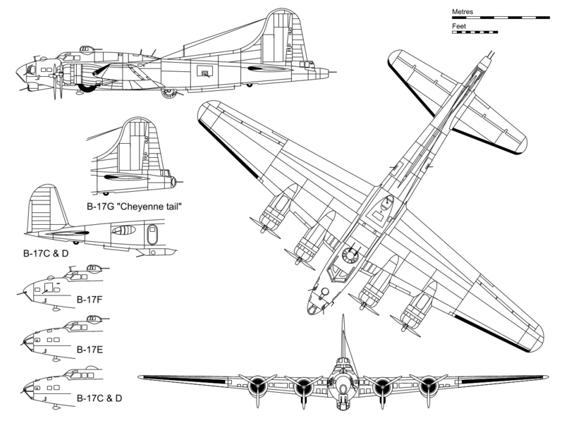 B-17 image